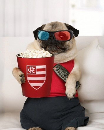 Balde Pipoca Flamengo Oficial Licenciado 607333