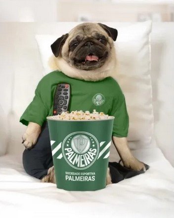 Balde Pipoca Palmeiras Oficial Licenciado 607338