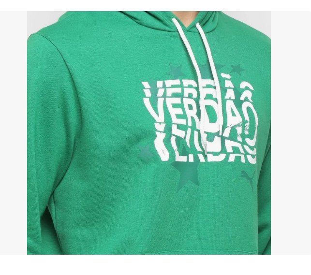 Blusa Palmeiras Puma Graphic Hood 758482