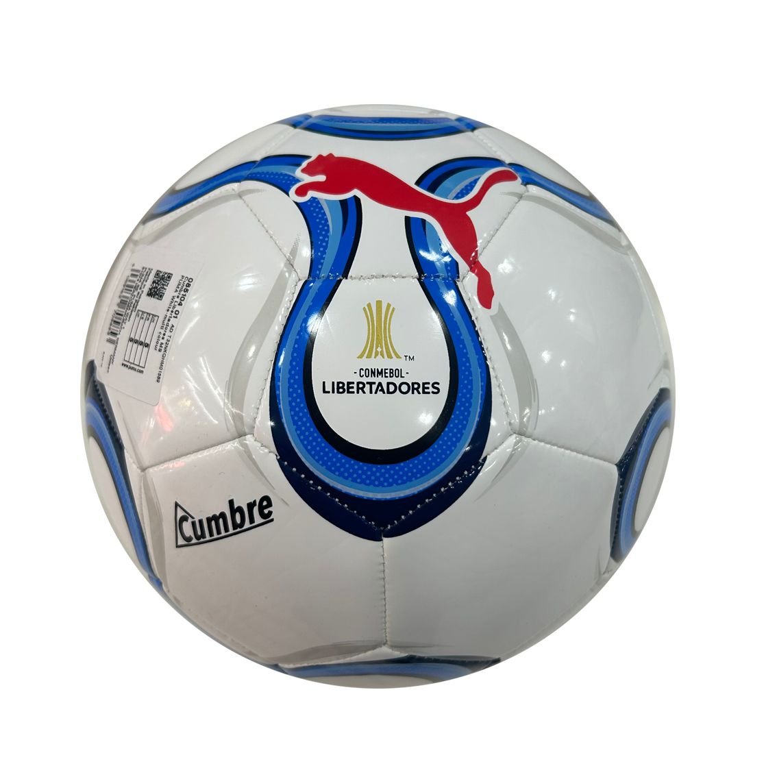 Bola Campo Puma Libertadores 26 Conmebol Cumbre 085104