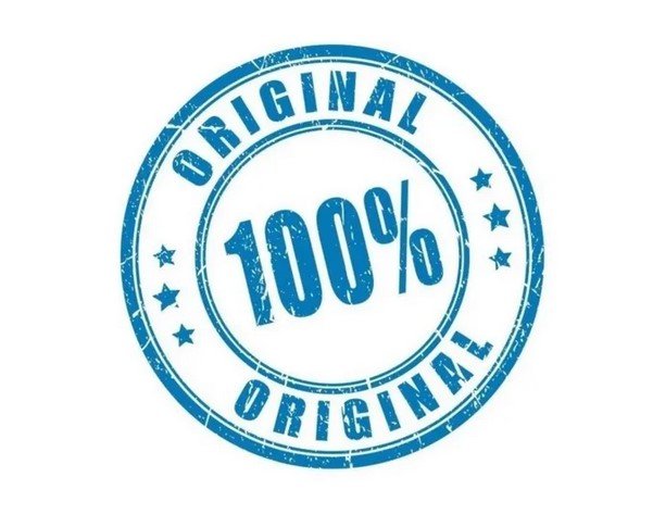 Camisa Brasil Infantil Torcedor Oficial Comemorativa Elite