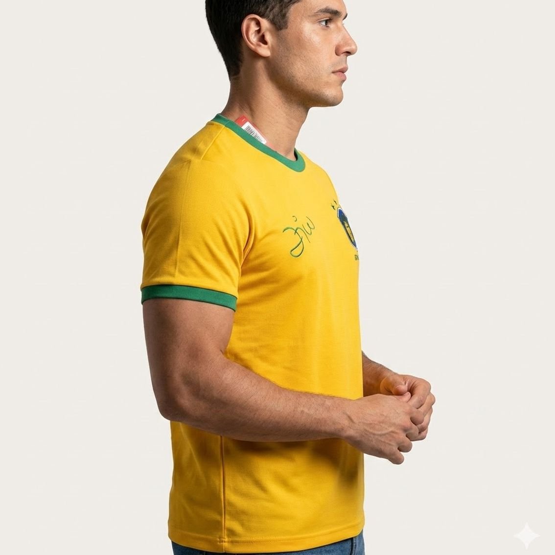 Camisa Brasil Masculina GALINHO ZICO Braziline