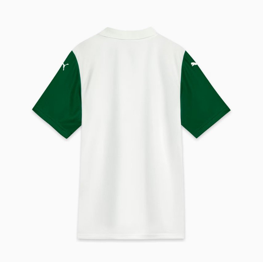Camisa Palmeiras Masculina II AWAY 25/26 Puma 782428