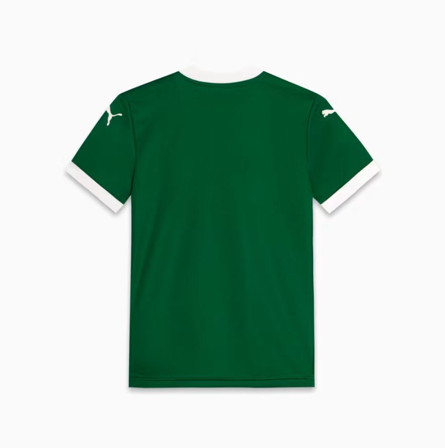 Camisa Palmeiras Infantil I Home 25/26 Puma 782441