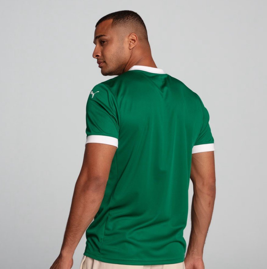 Camisa Palmeiras Masculina I Home 25/26 Puma 782426