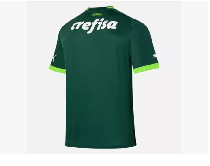 Camisa Puma Palmeiras I Masculina 23/24 773433