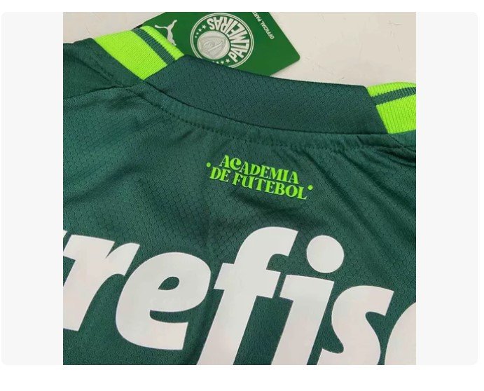 Camisa Puma Palmeiras I Masculina 23/24 773433
