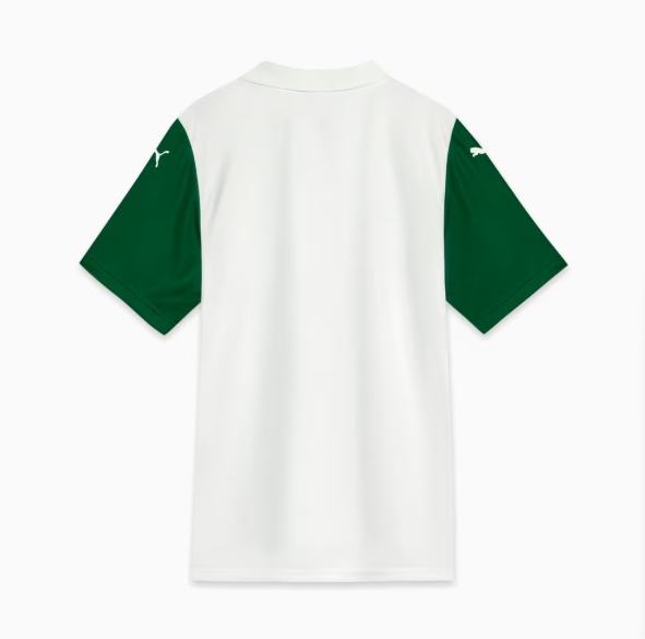 Camisa Palmeiras Masculina II AWAY 25/26 Puma 782428
