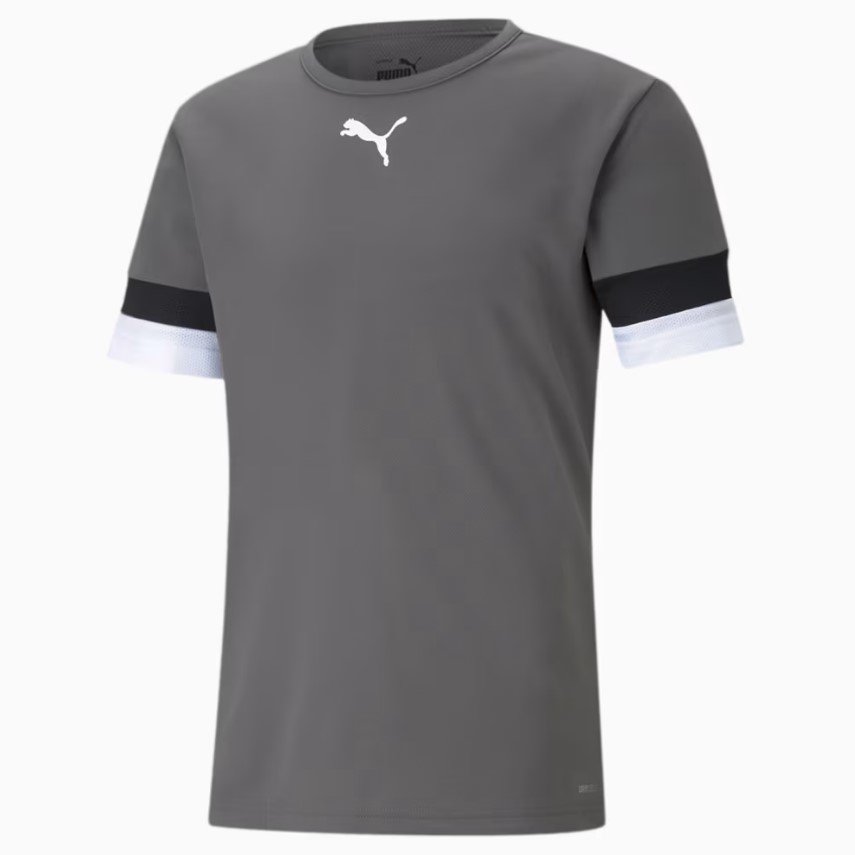 Camisa Puma Teamrise Jersey Masculina 704932