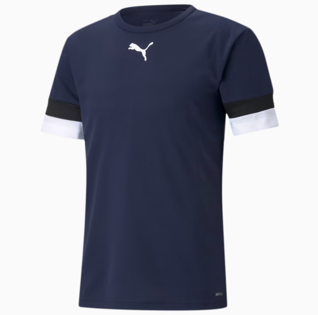 Camisa Puma Teamrise Jersey Masculina 704932