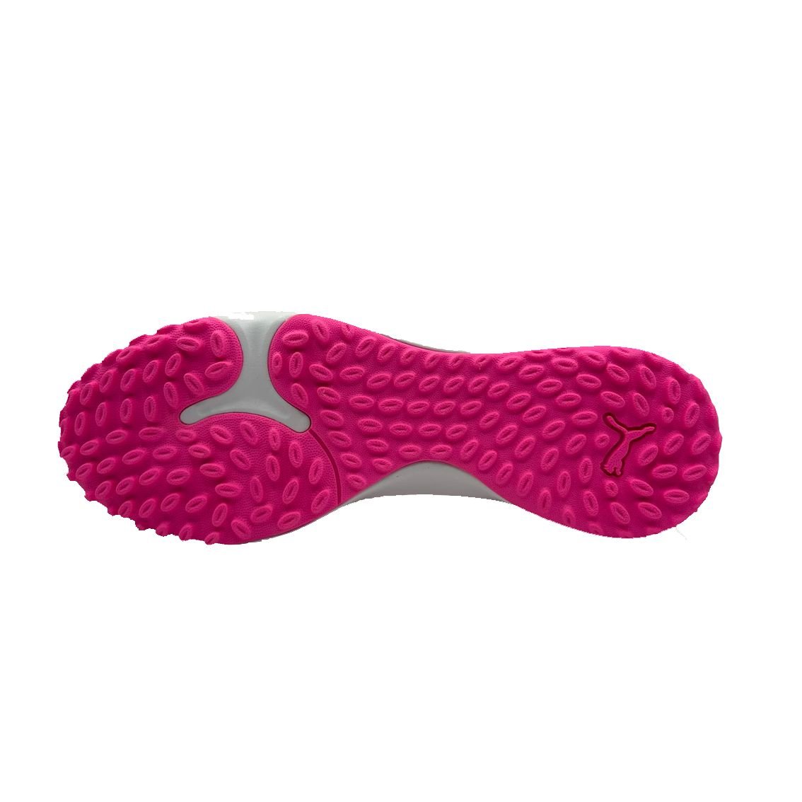 Chuteira Society Puma Future 9 Match TT 108906