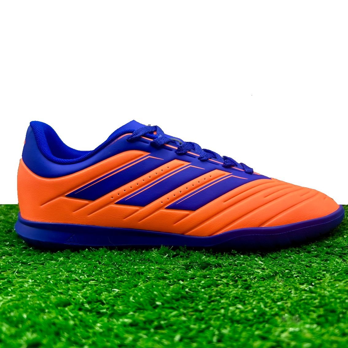 ロッシー A ELITE SPORT - Tenis Chuteira Futsal Adidas RABISCO II JR INDOOR
