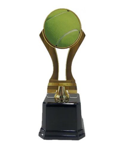 Troféu Premiação Campeonato Placa 501733