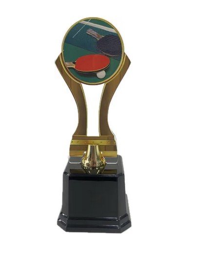 Troféu Premiação Campeonato Placa 501733
