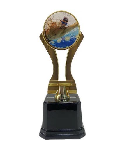 Troféu Premiação Campeonato Placa 501733