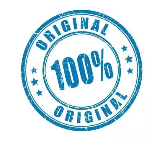 Troféu Premiação Campeonato Placa 501733